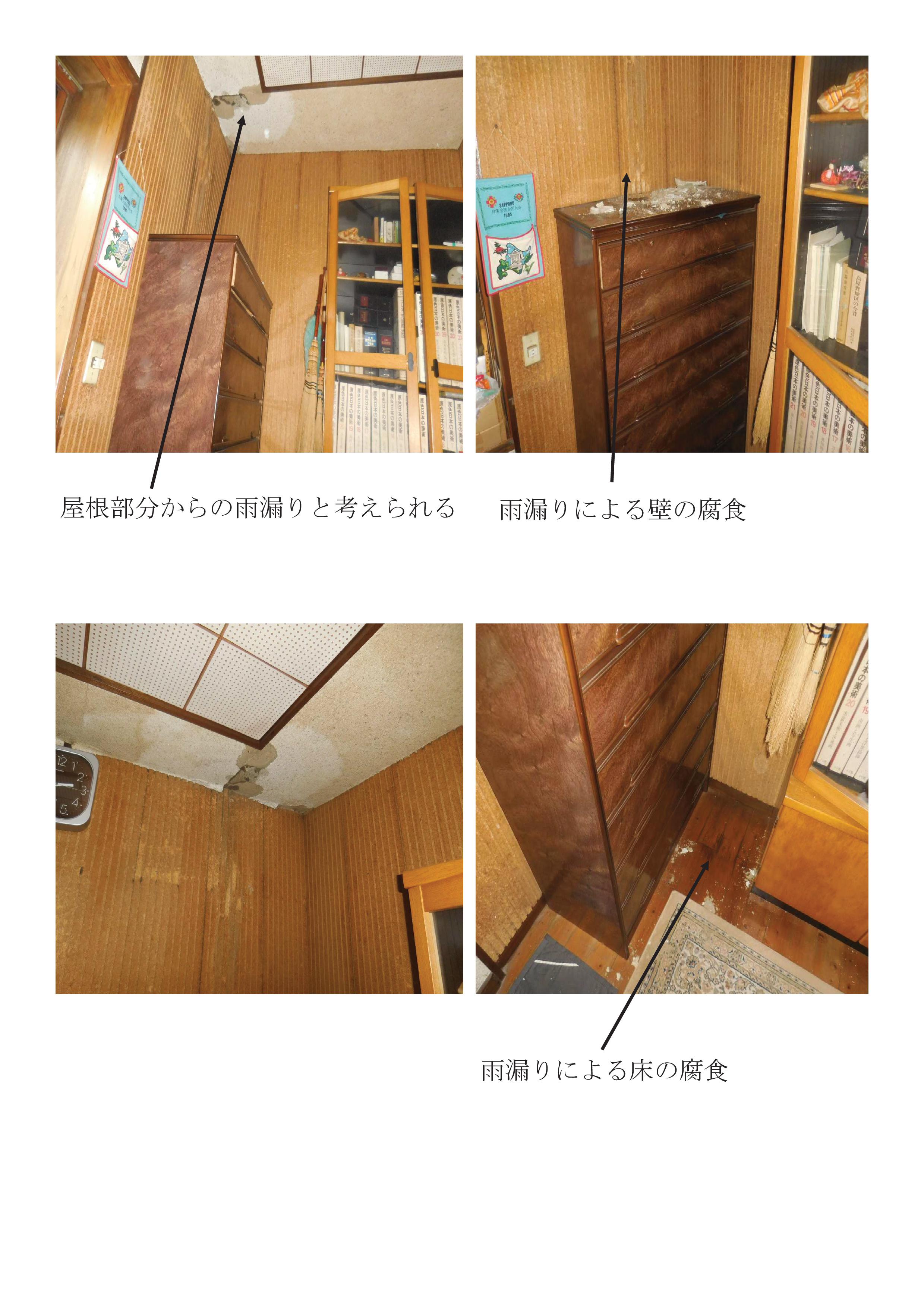 現状報告書-003