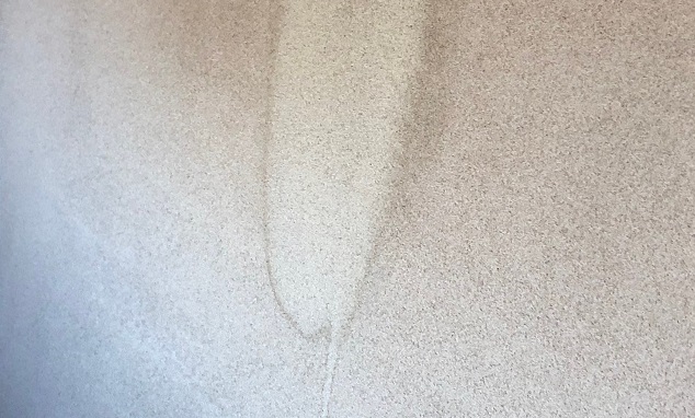 雨漏りの原因がわからない時はどう調査する 火災保険は適用される 保険申請は 一般社団法人 全国建物診断サービス