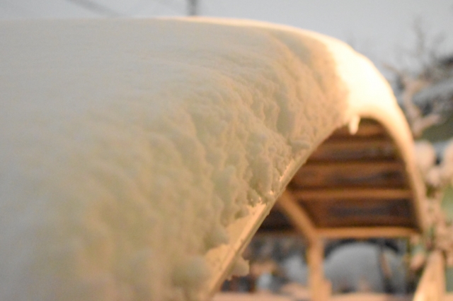 台風 大雪でカーポートが壊れてしまった時に火災保険は活用できるのか 保険申請は 一般社団法人 全国建物診断サービス